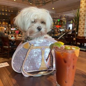 Meet your Posher, Amber